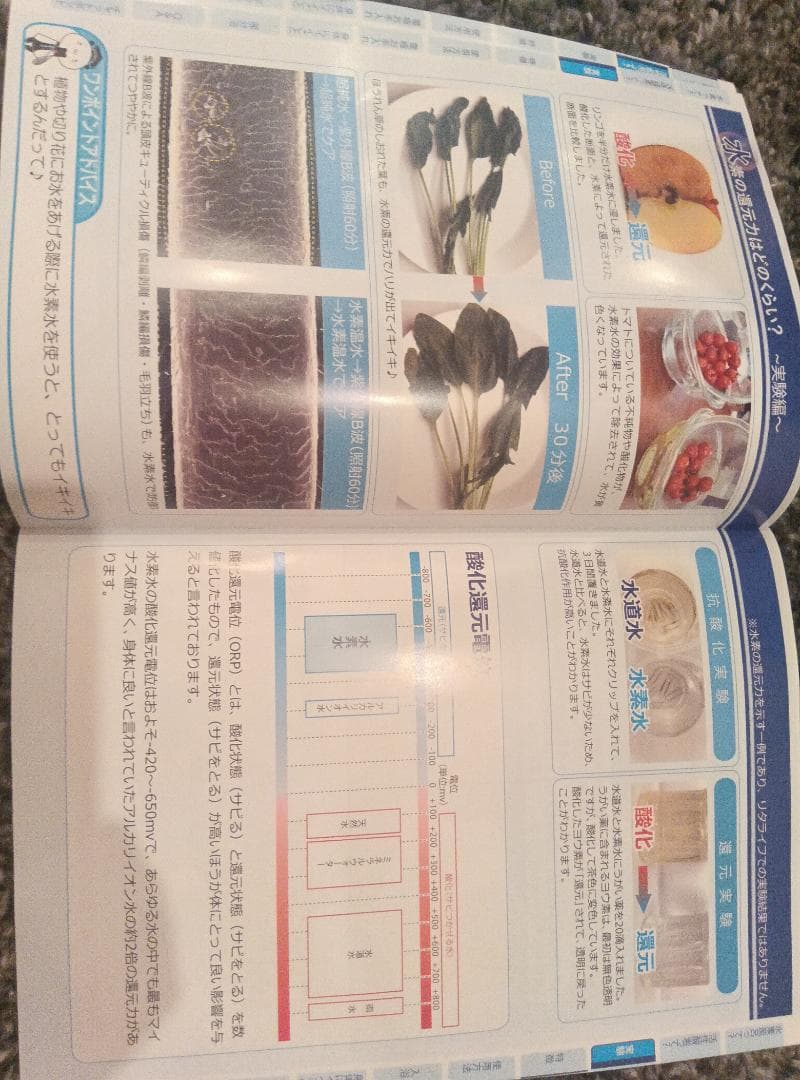 Lita Life 健康用品 ホワイト/ブラック