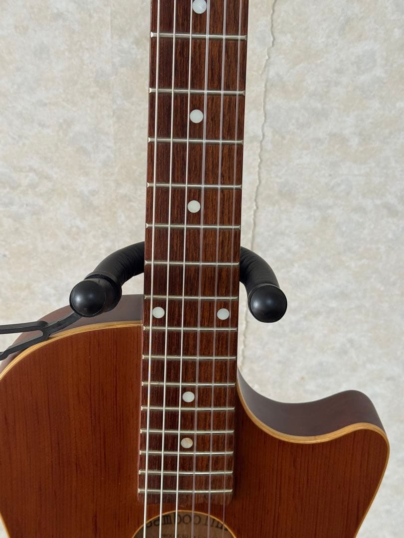 ESP BambooInn-K ナイロン弦タイプcharプロデュース