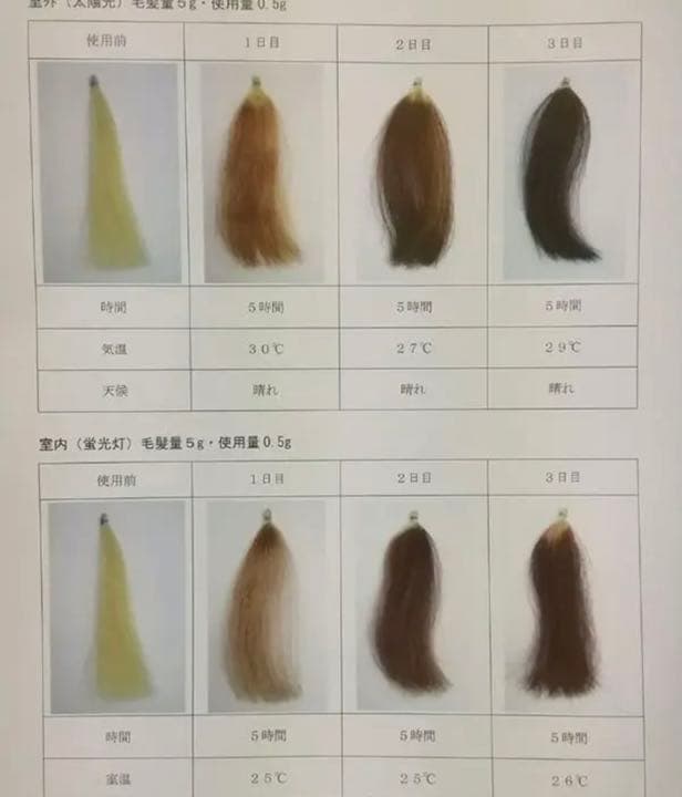 【白髪染め】SENヘアクリーム10本セット