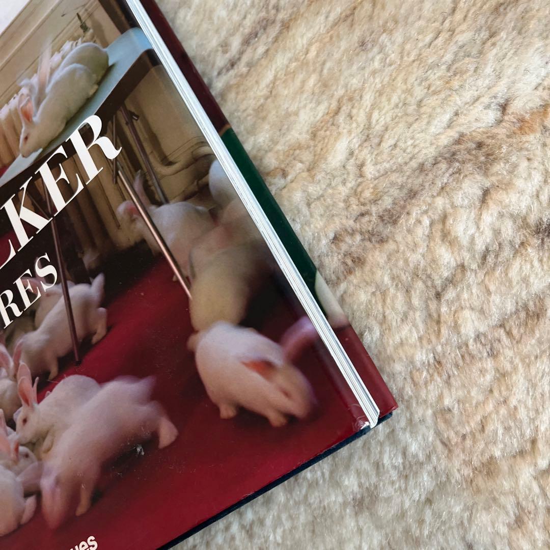 アート・デザイン・音楽 Tim Walker Pictures