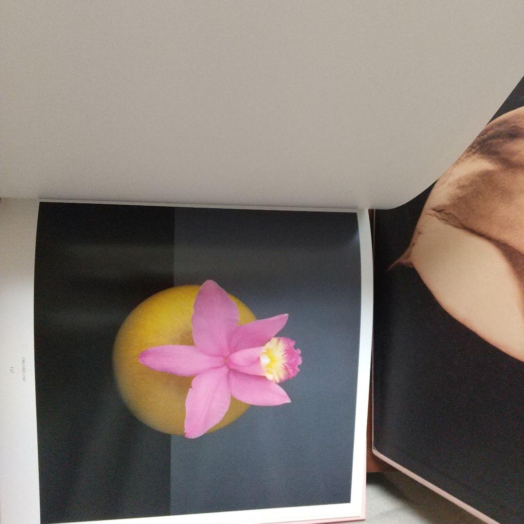 Robert Mapplethorpe Pistils写真集花特集