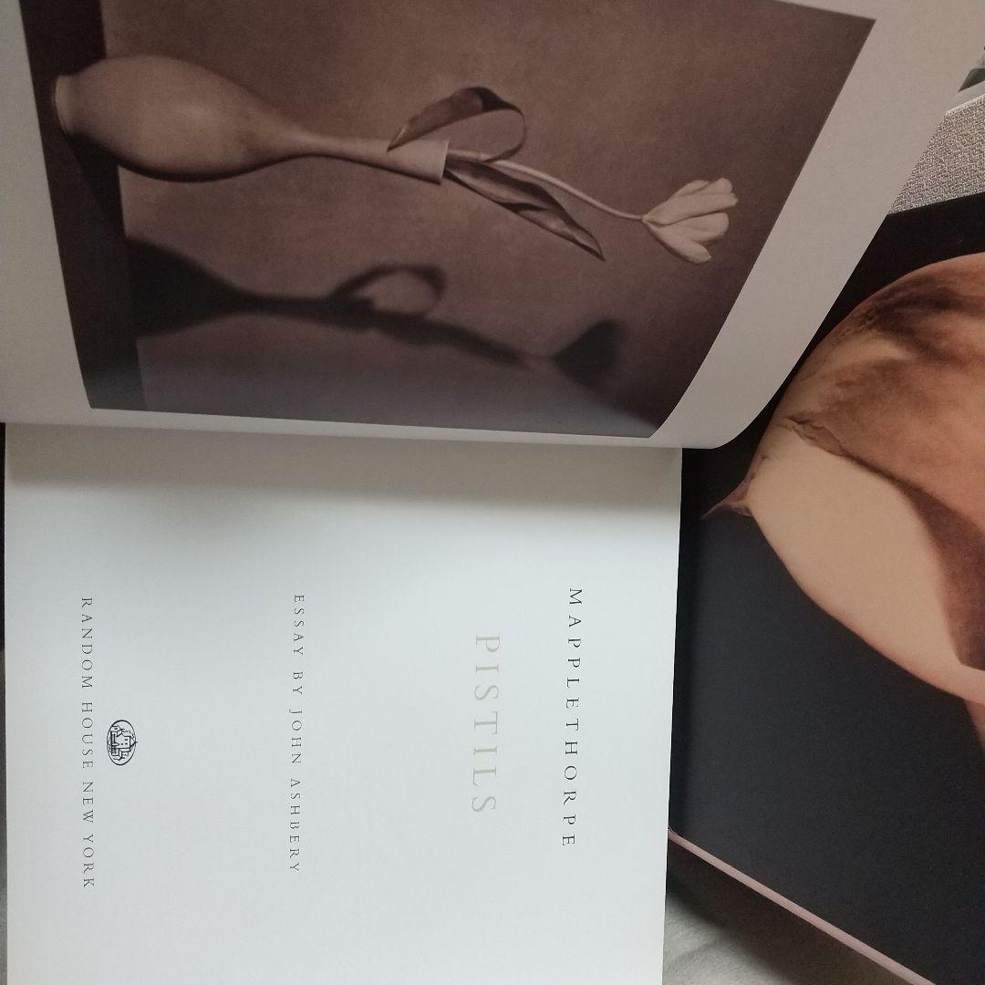 Robert Mapplethorpe Pistils写真集花特集