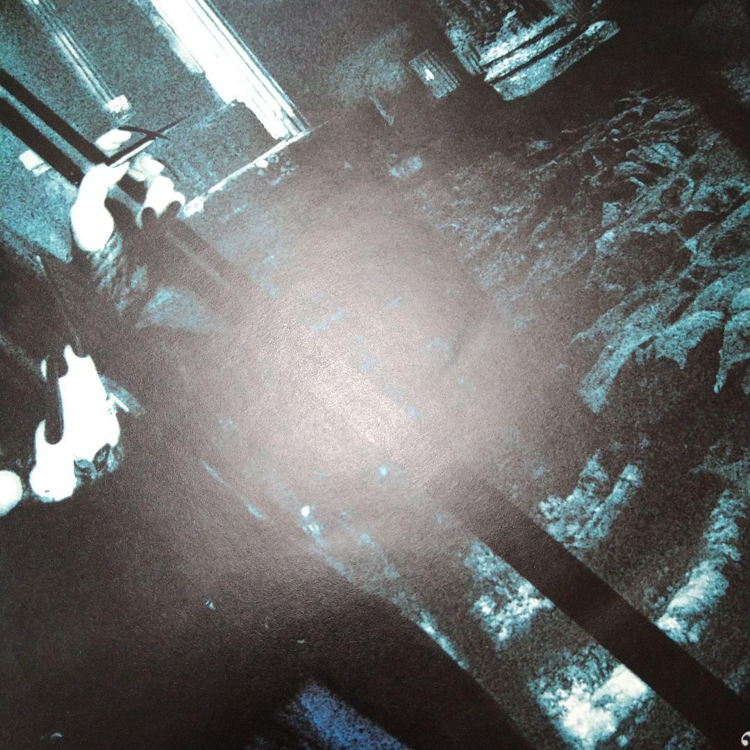 Moi dix Mois Shadows Temple ポスター V系