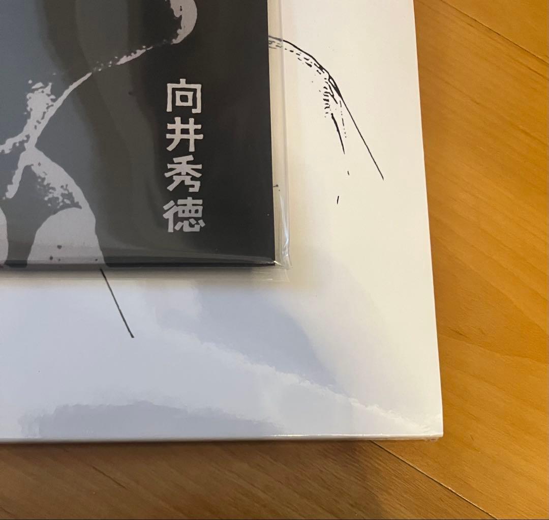 zazen boys らんど 向井秀徳 古川日出男 レコード セット