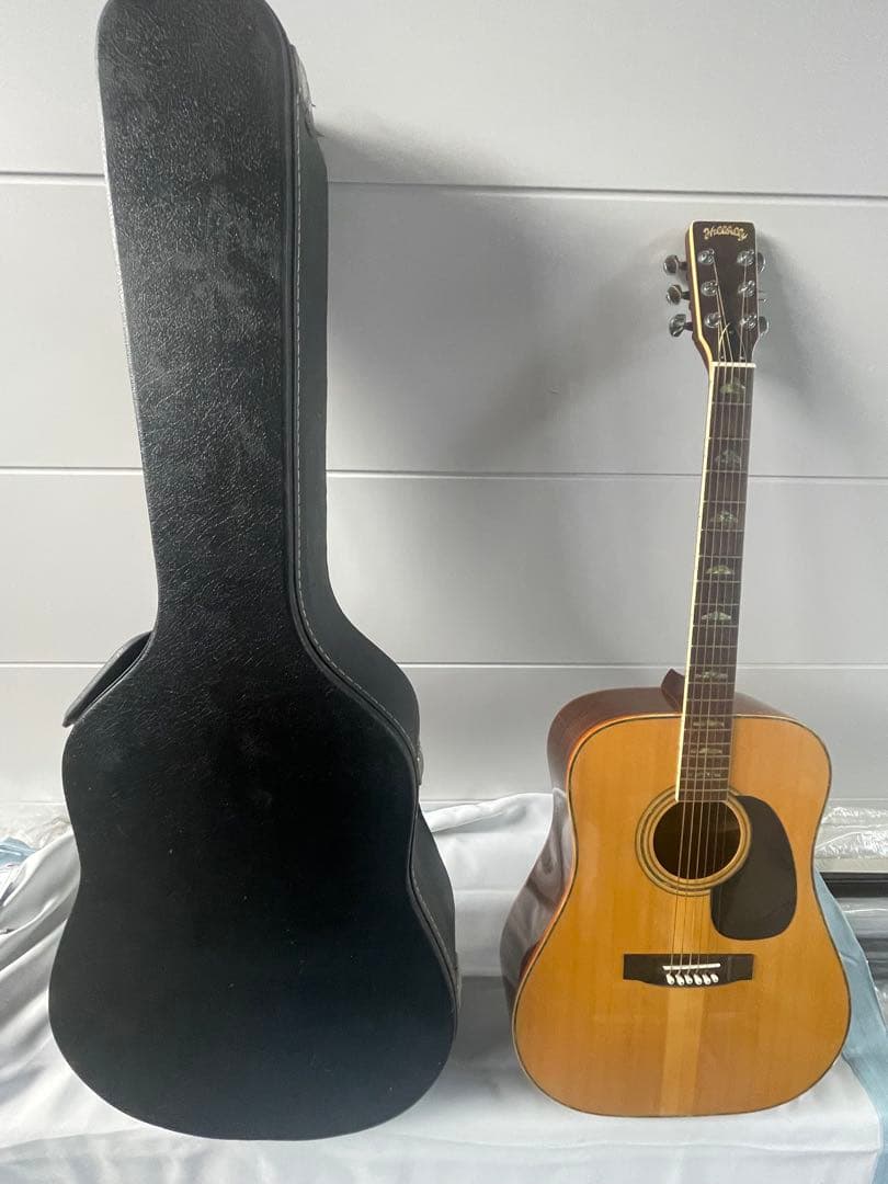Hillbilly アコースティックギター 。ハードケース付き