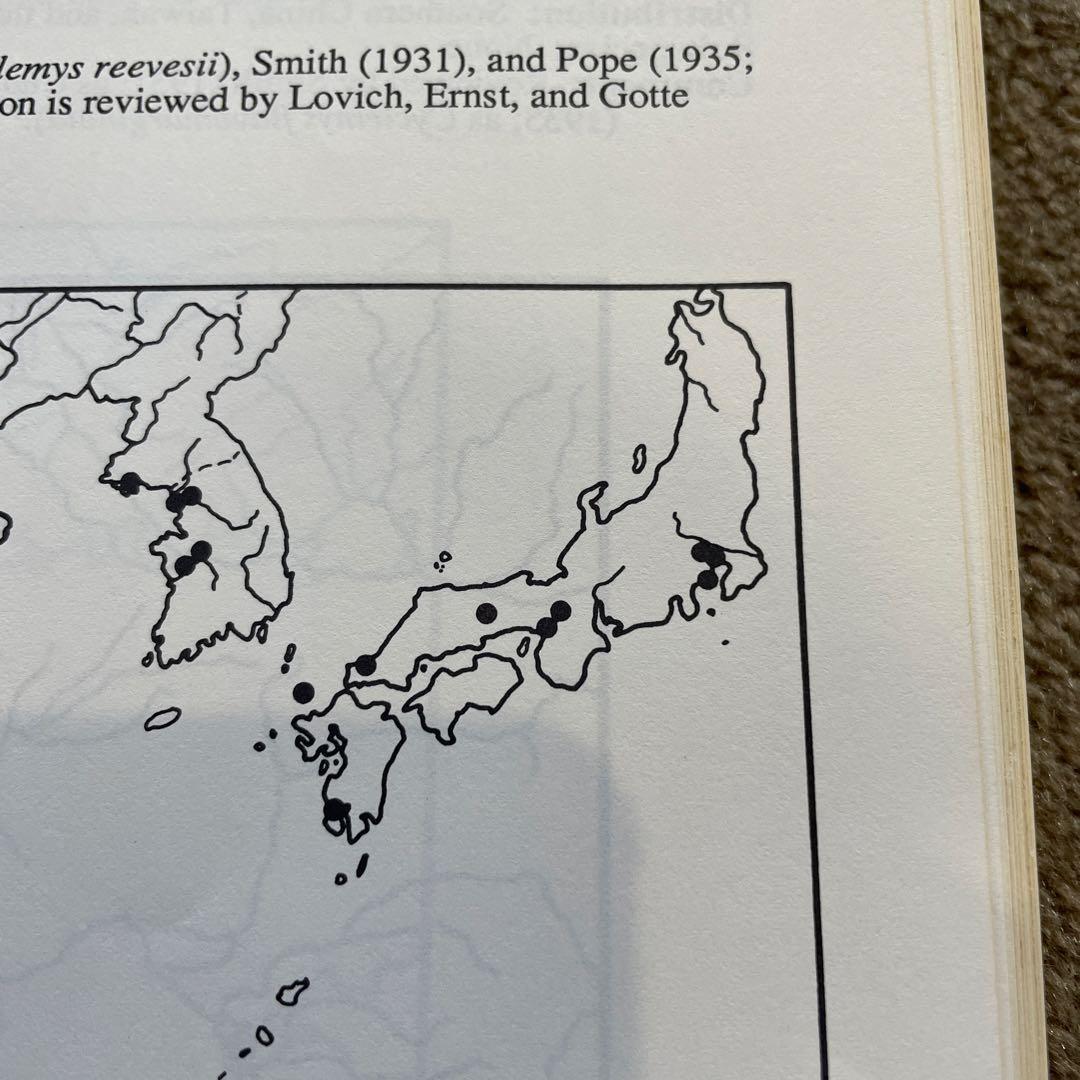 1986年 世界のカメのチェックリストと分布図 ジョン・B・アイバーソン 研究書