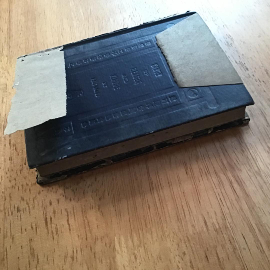 洋書 Canon of Reason and Virtue (Paul Carus)