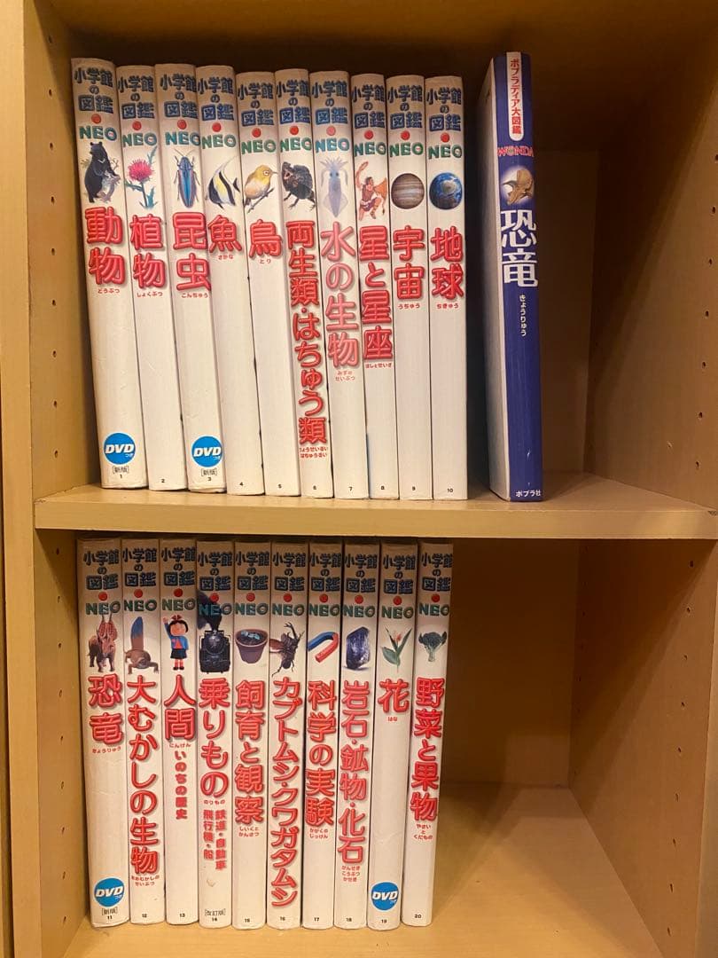小学館の図鑑 NEO 20冊セットDVD付
