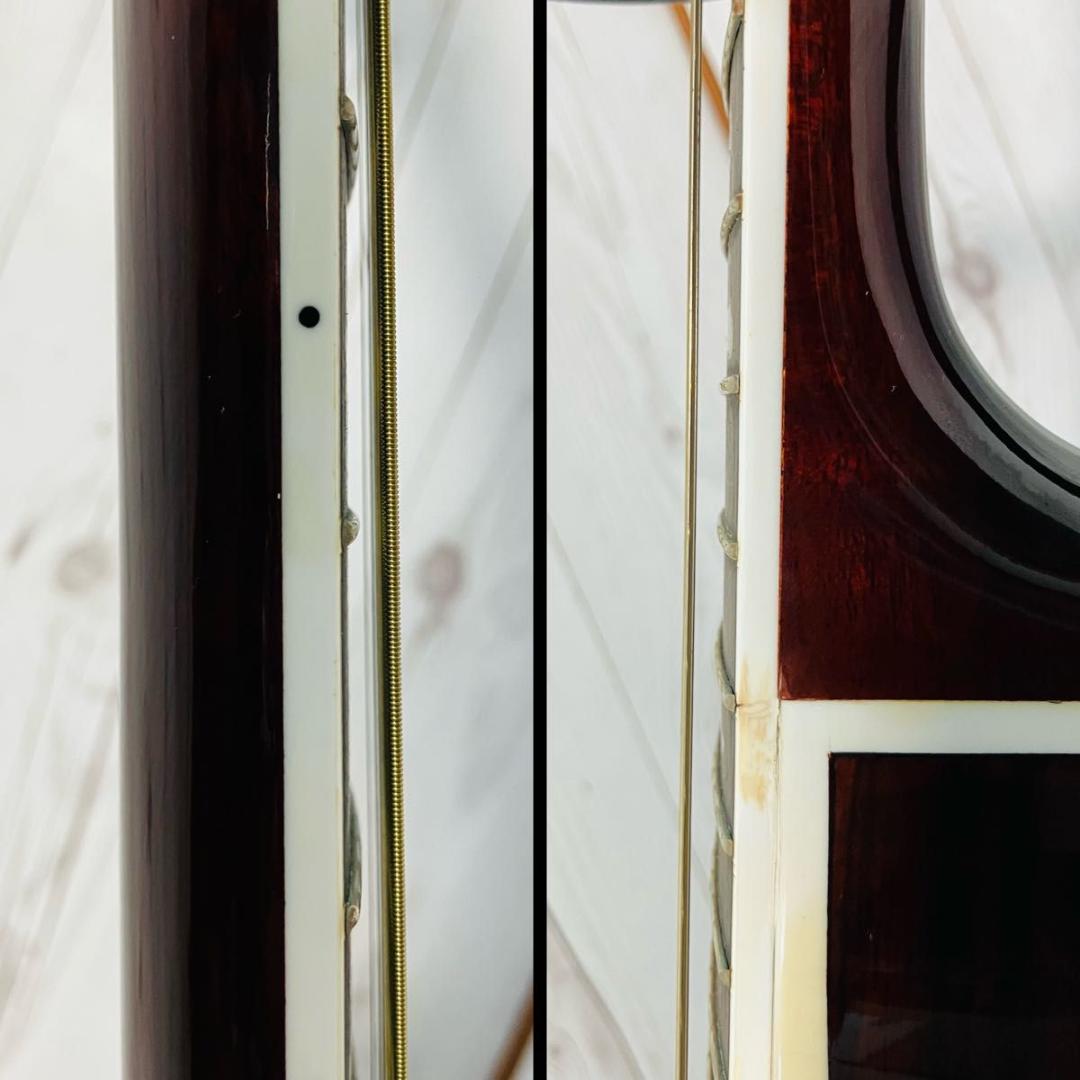 Paul Reed Smith SE Angelus Custom エレアコ