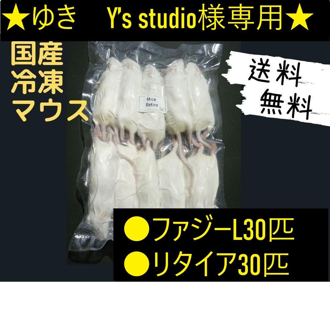 ★ゆき　Y’s studio★国産 冷凍マウス リクエスト品