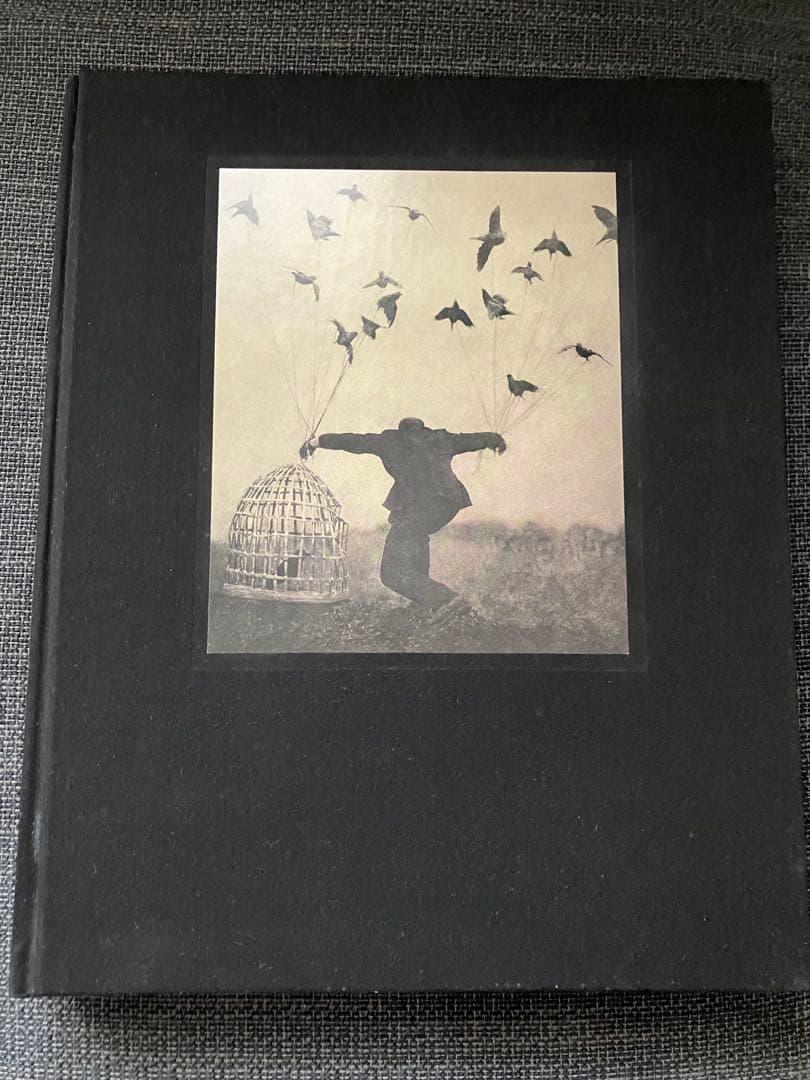 【超レア】The Architect's Brother