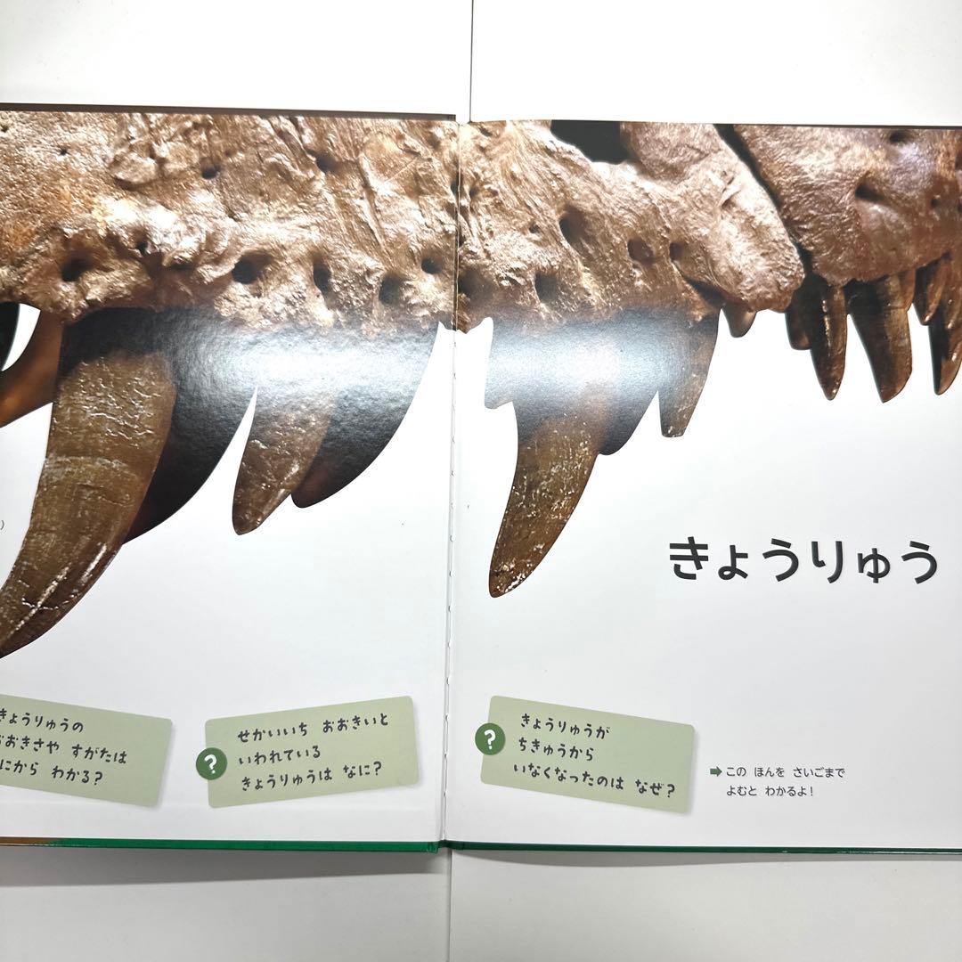 【2点購入150円引】おしりダンディ ザ・ヤング くもの おうこく