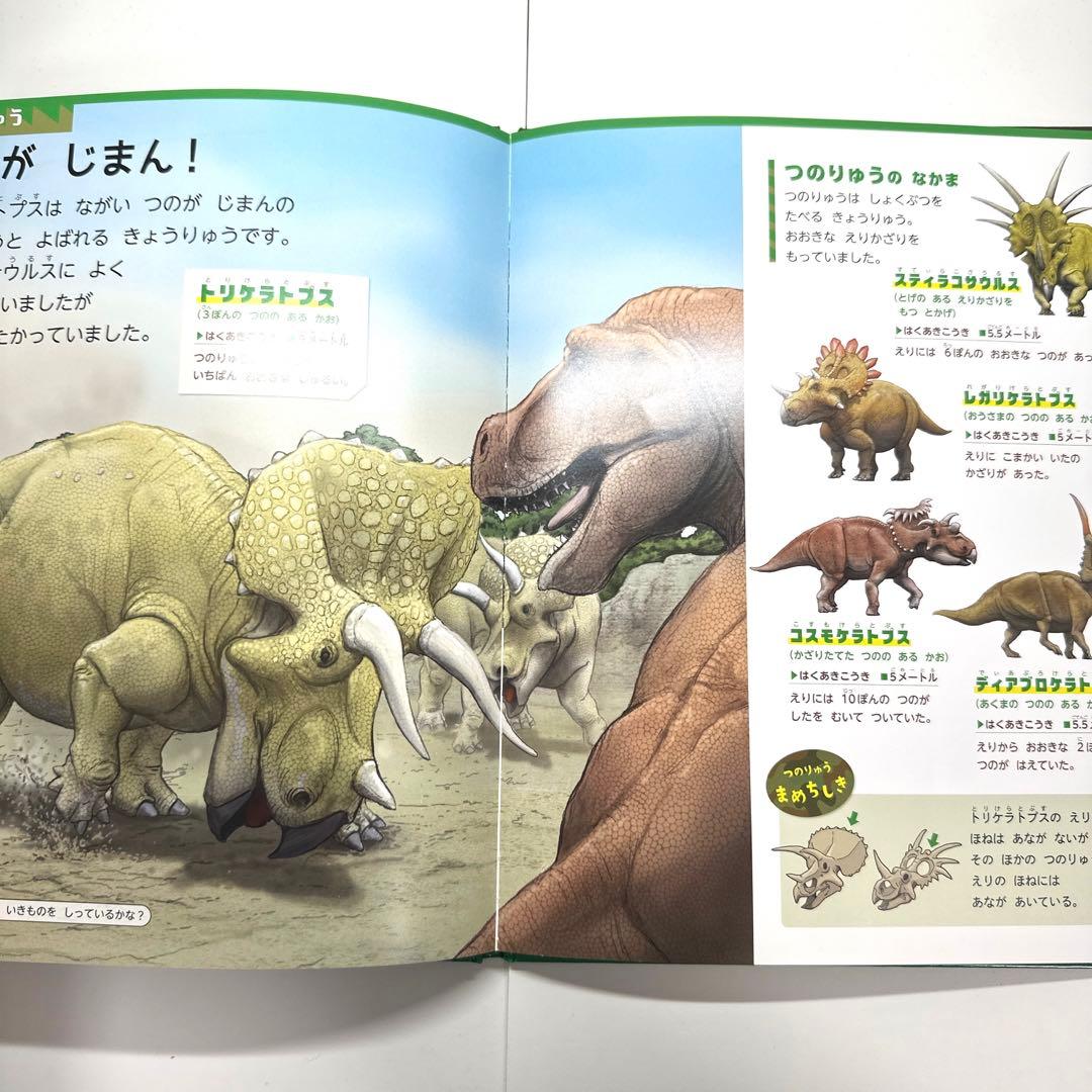 【2点購入150円引】おしりダンディ ザ・ヤング くもの おうこく