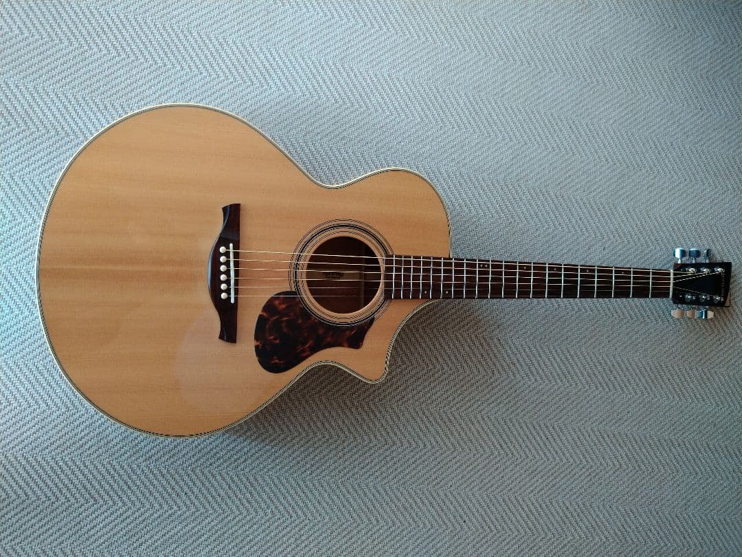 限界価格時間限定HISTORY NTC4 Fishmanピックアップ