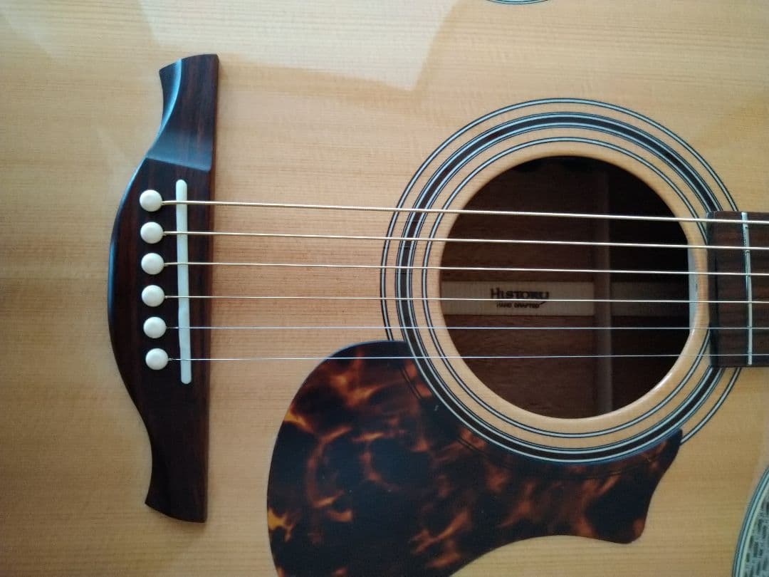 限界価格時間限定HISTORY NTC4 Fishmanピックアップ