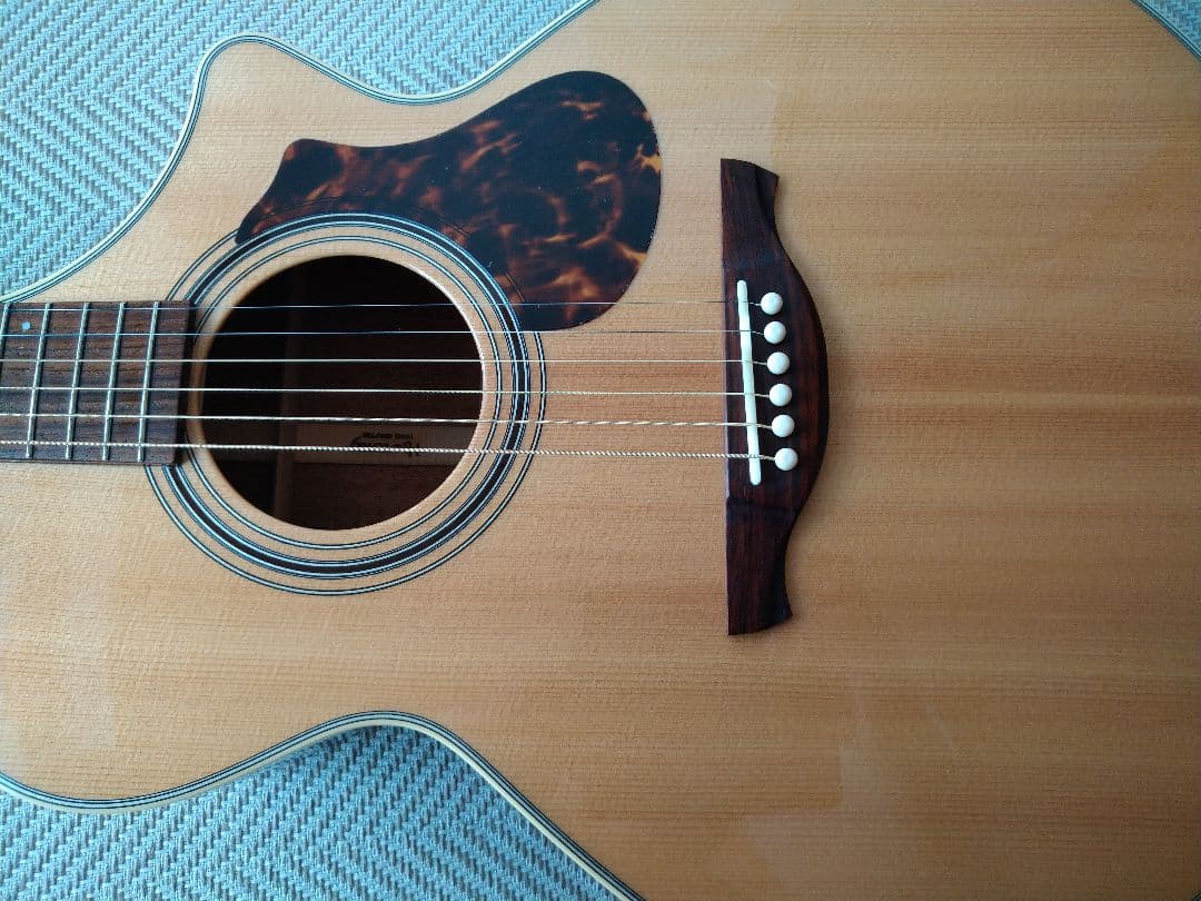 限界価格時間限定HISTORY NTC4 Fishmanピックアップ