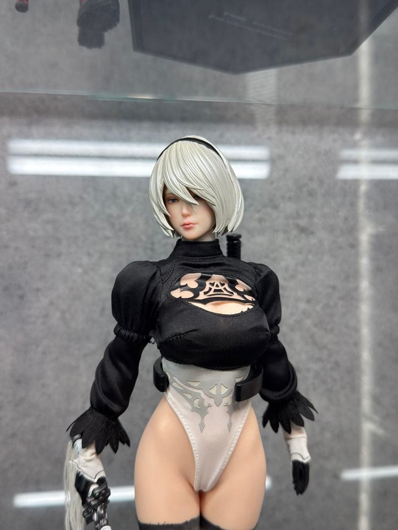 SUPER DUCK SET064-B S42A SDH046 ２B セット