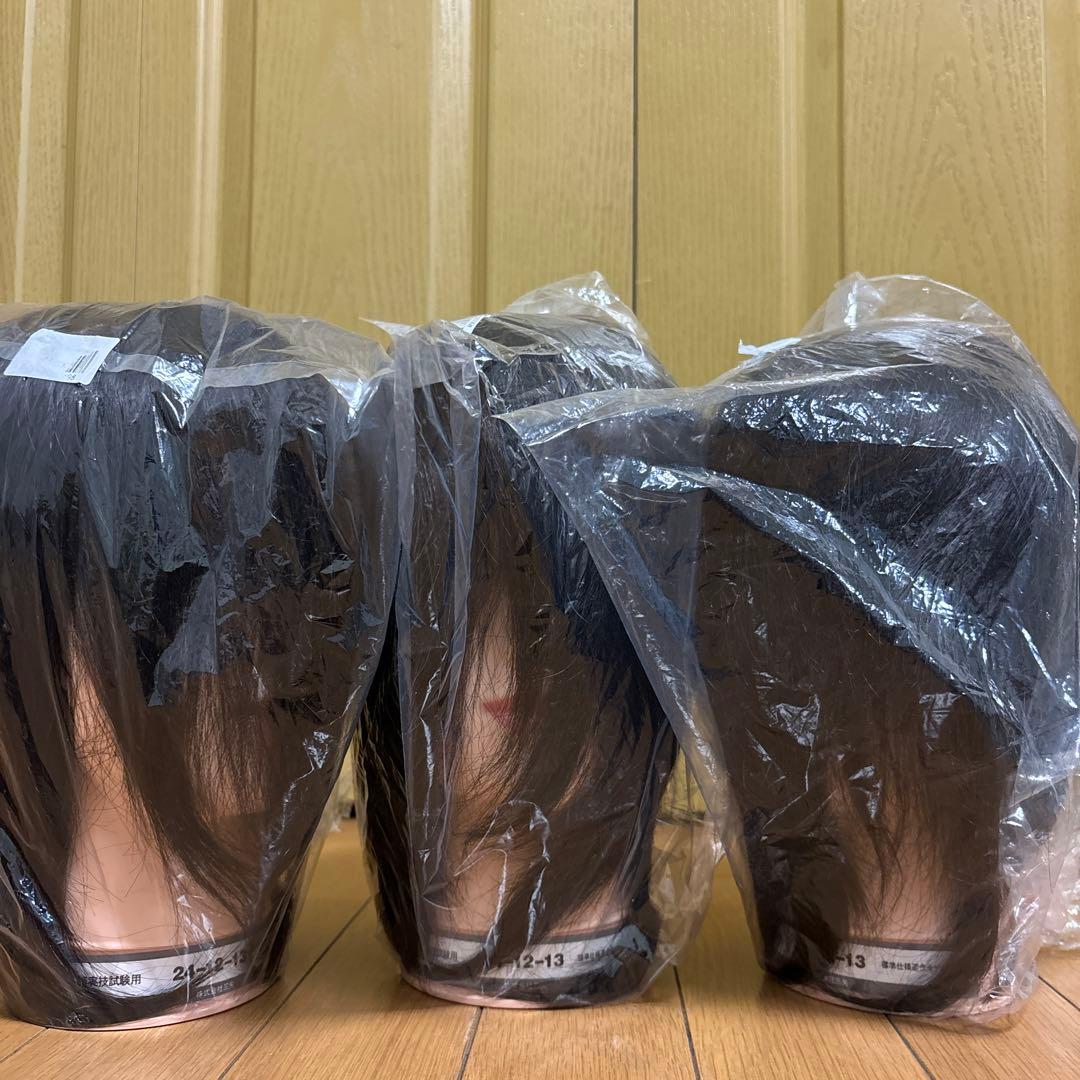 (新品未使用品)美容師国家試験用カットウィッグ