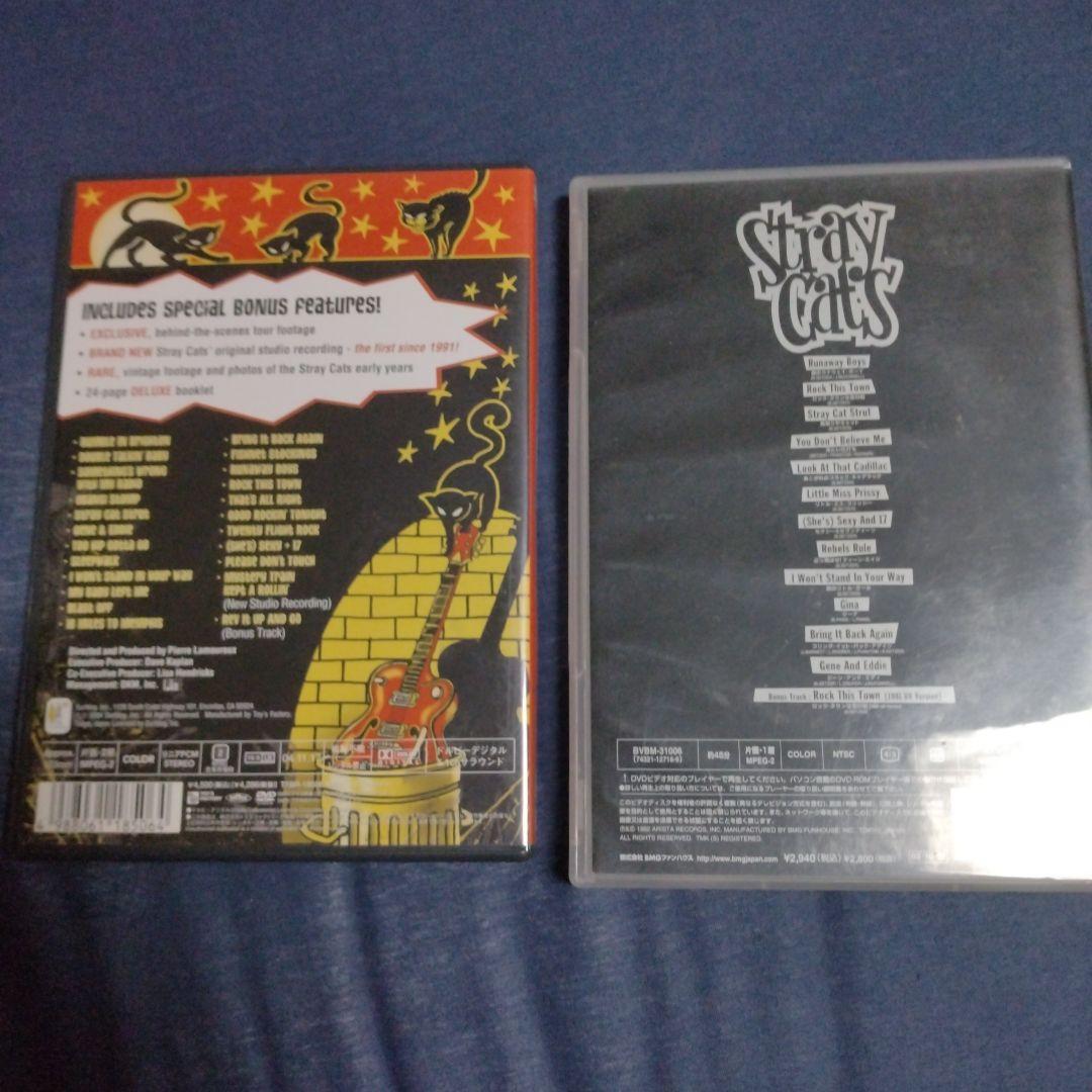 ストレイキャッツ　DVD