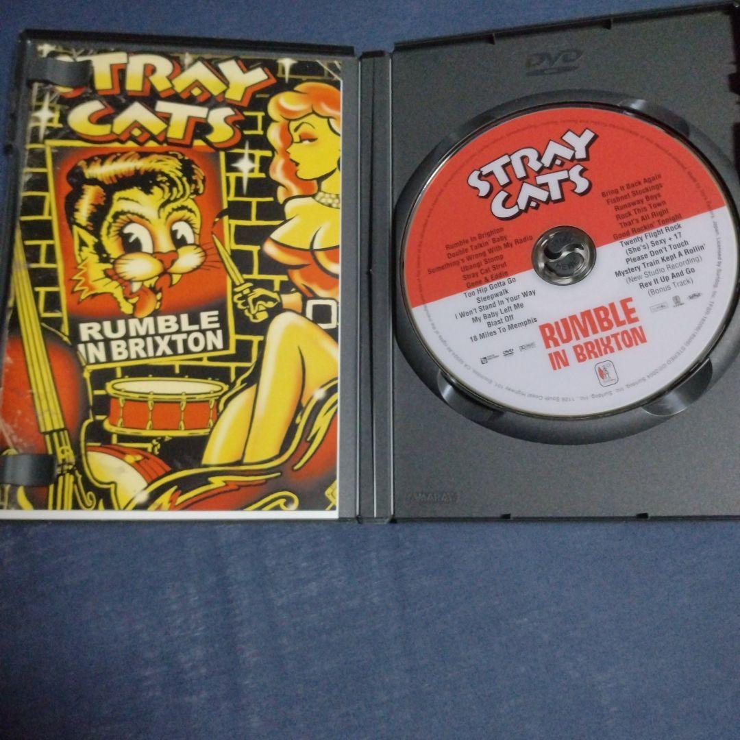 ストレイキャッツ　DVD