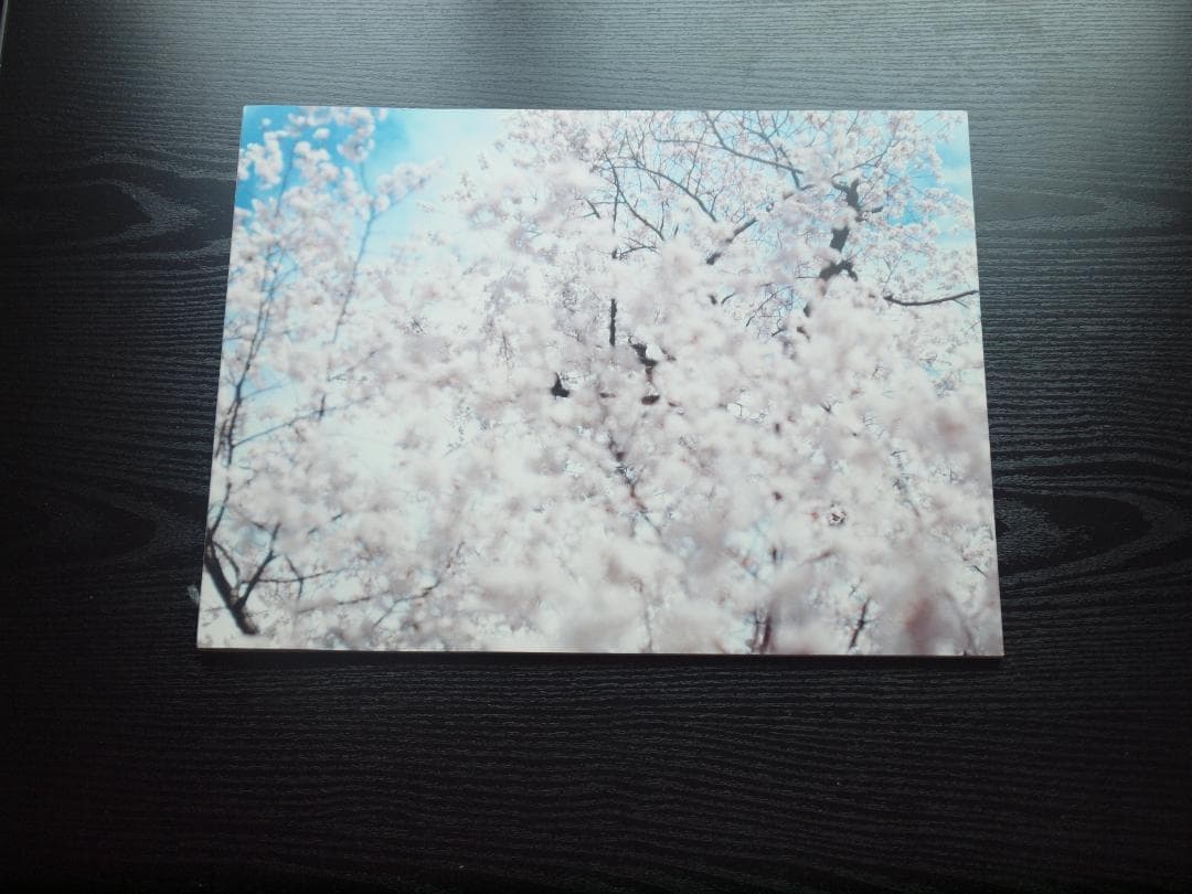 鈴木理策　桜　Yoshii Gallery　大判　サイン入り