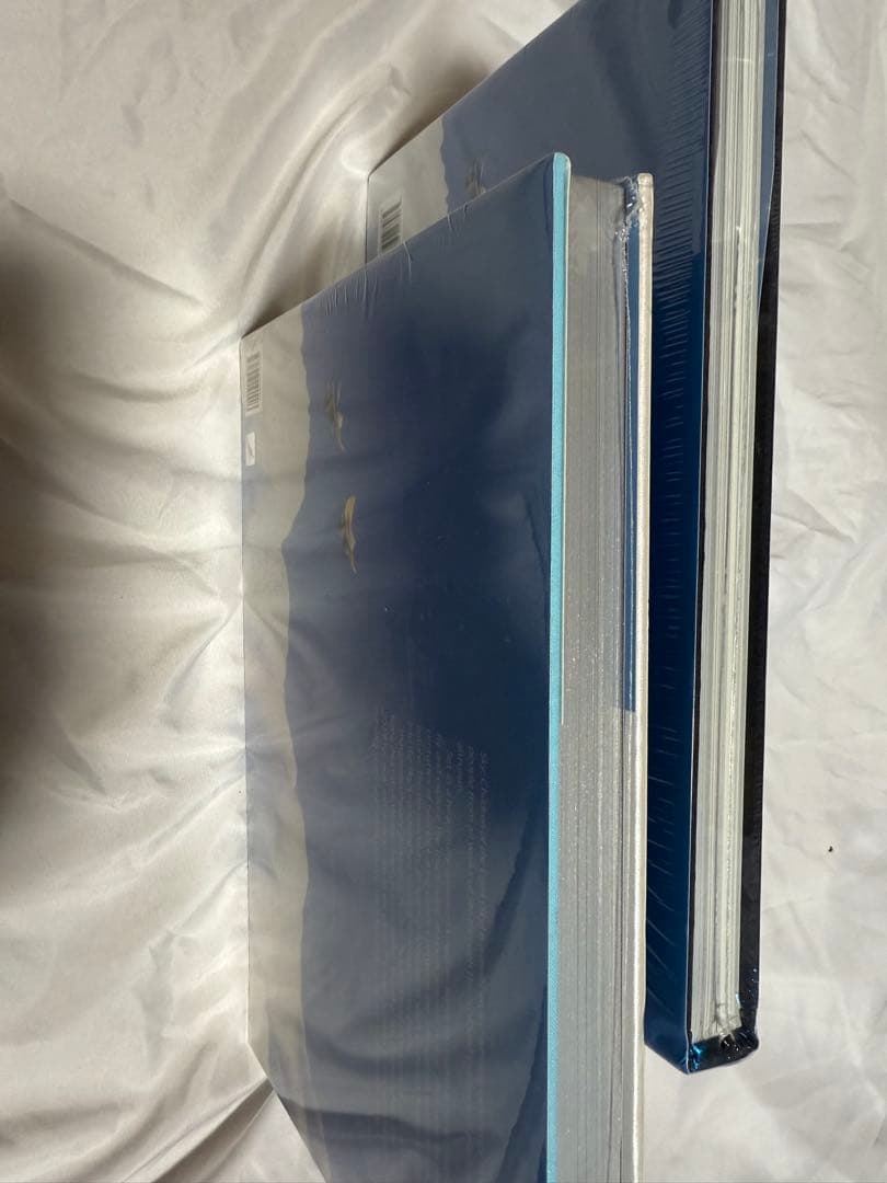 Sky 星を紡ぐ子供たち　アートブック(非売品版)