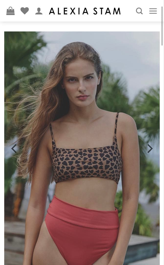 タグあり/ALEXIA STAM セパレート水着