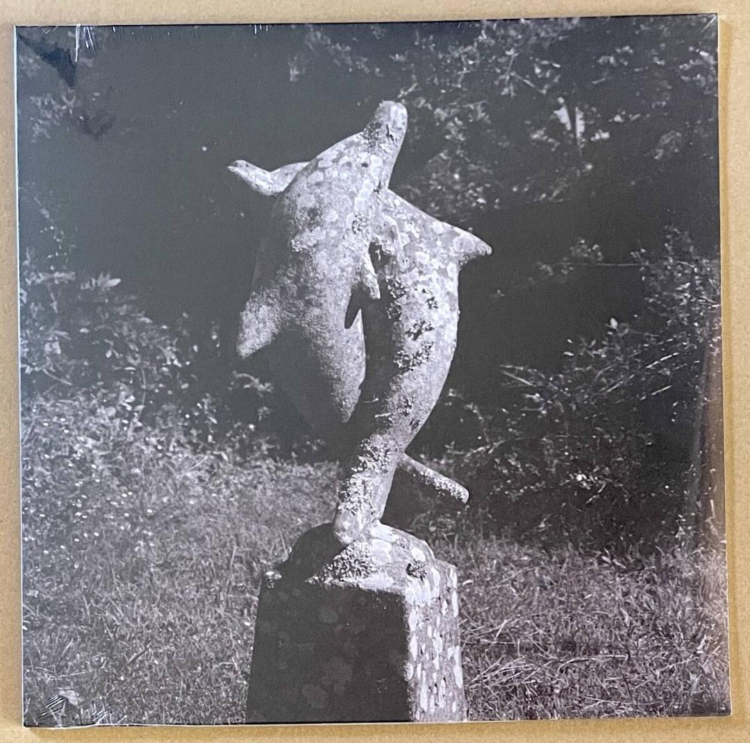 新品 送料込 青葉市子 SINGLE COLLECTION アナログ盤 レコード