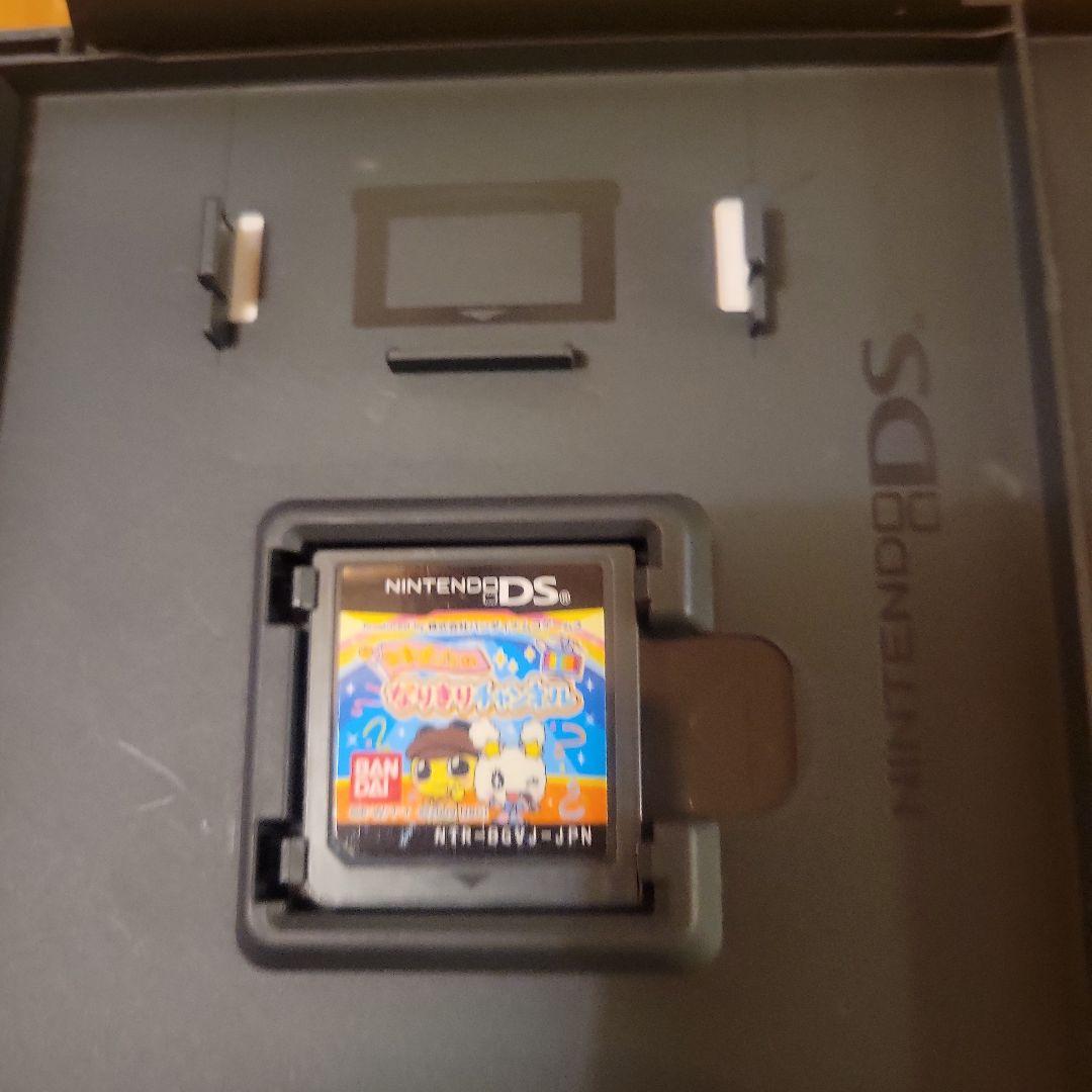 SNOOPY DS & こびとづかん こびと観察セットその他色々5点