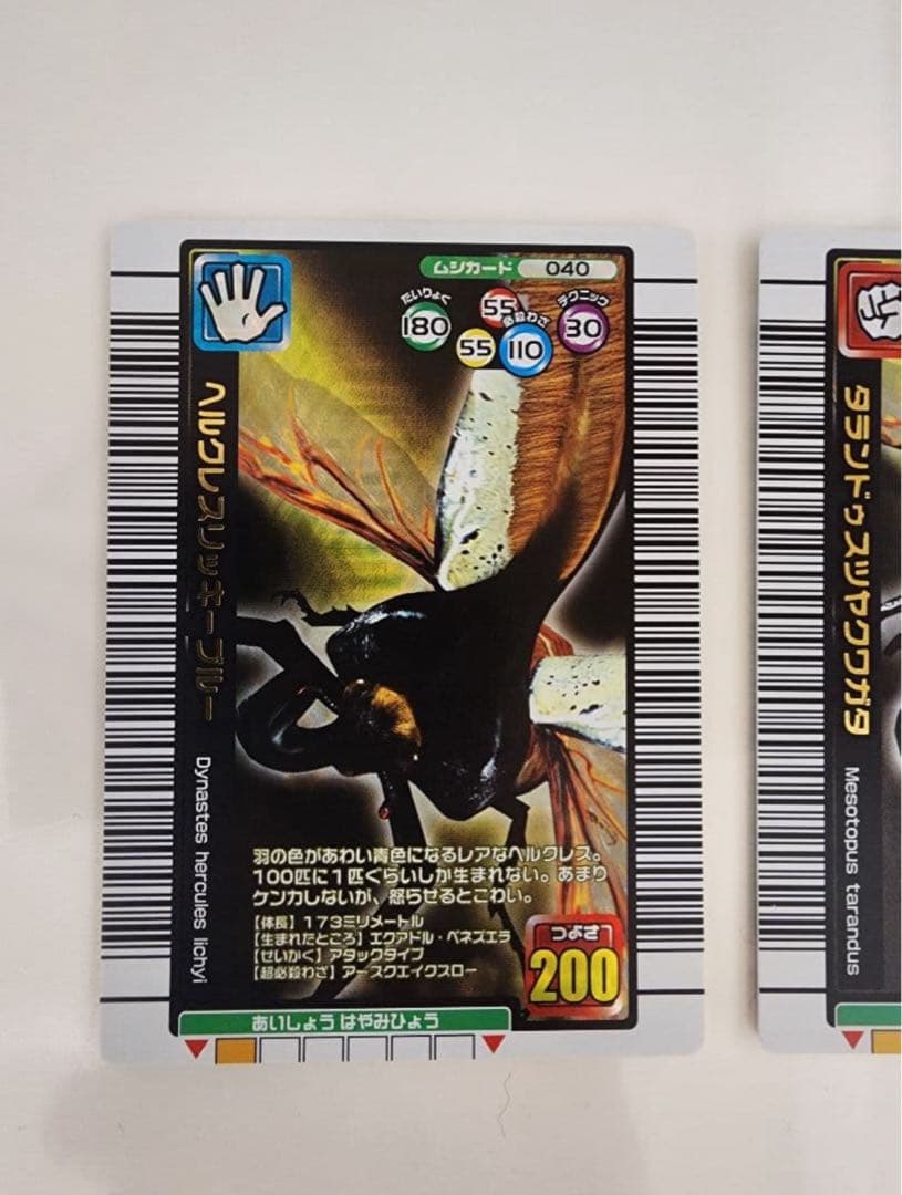 ムシキング　2005夏限定バージョン　タランドゥスツヤクワガタ他