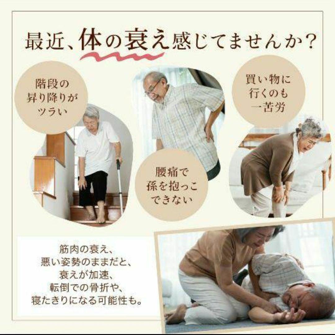 【新品未開封】グッドシェイプボーテ ココアブラウン 置くだけ&挟むだけ筋トレ