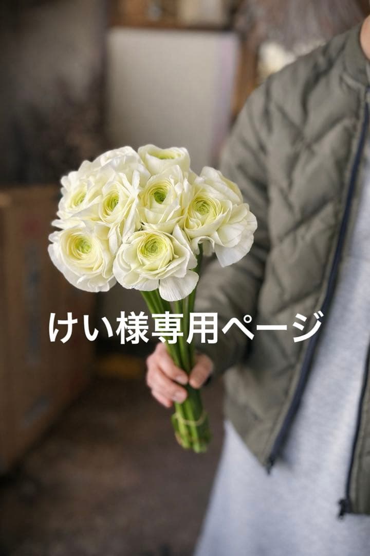 けいページです