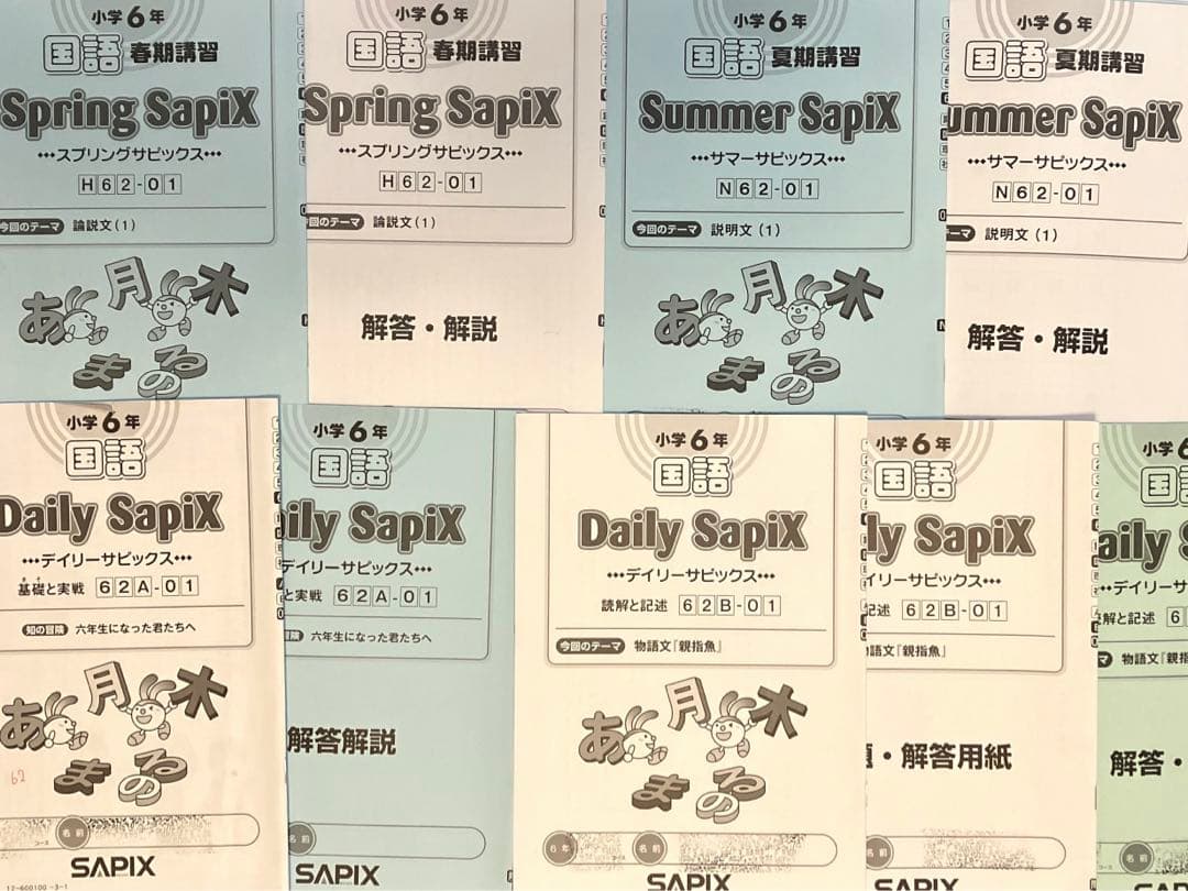 SAPIX サピックス6年 国語　平常授業使用教材1年分