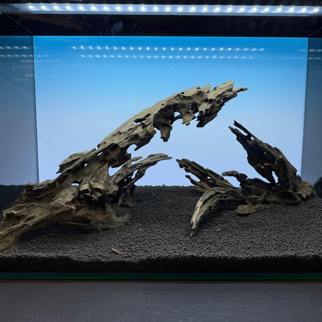 MMW-6631 マシンガンウッドレイアウトセット　60cm水槽用　流木