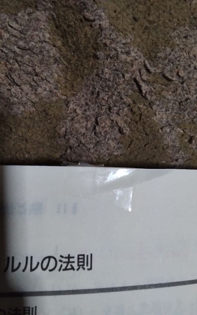 前田の物理ⅠB・Ⅱ上激レア代々木ゼミ方式代々木ライブラリー中古