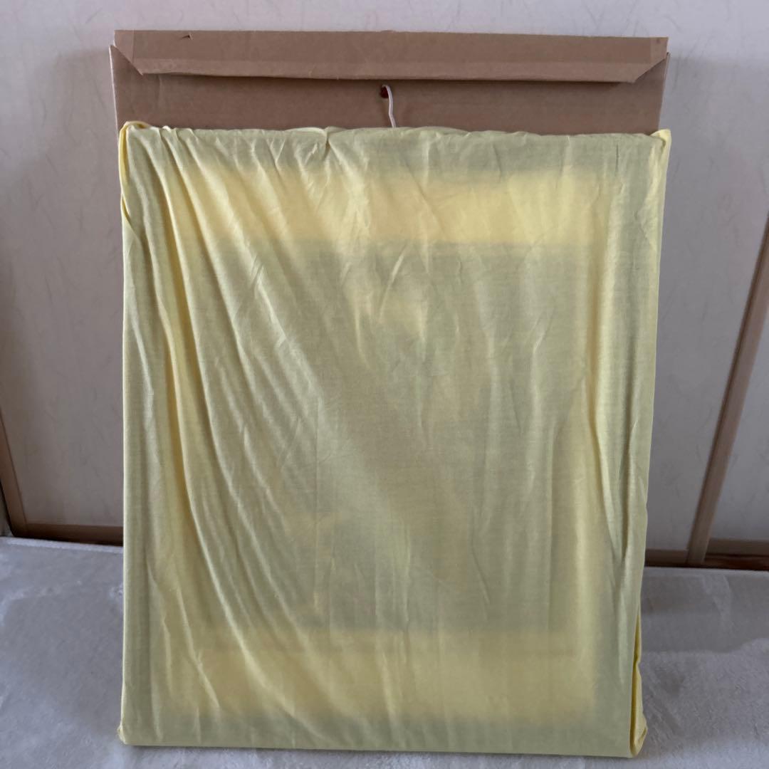 【土日値下中】美品★レアPP版★ ティンシャオクォン（丁紹光）シルクスクリーン