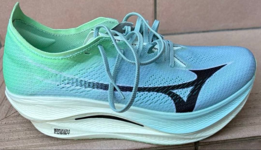 天*ま様 ウェーブリベリオンプロLow 28.5㌢