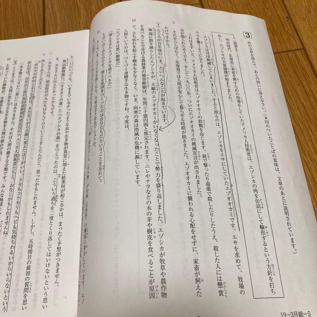 サピックス2019〜2020年度　5年生テストフルセット　15回分
