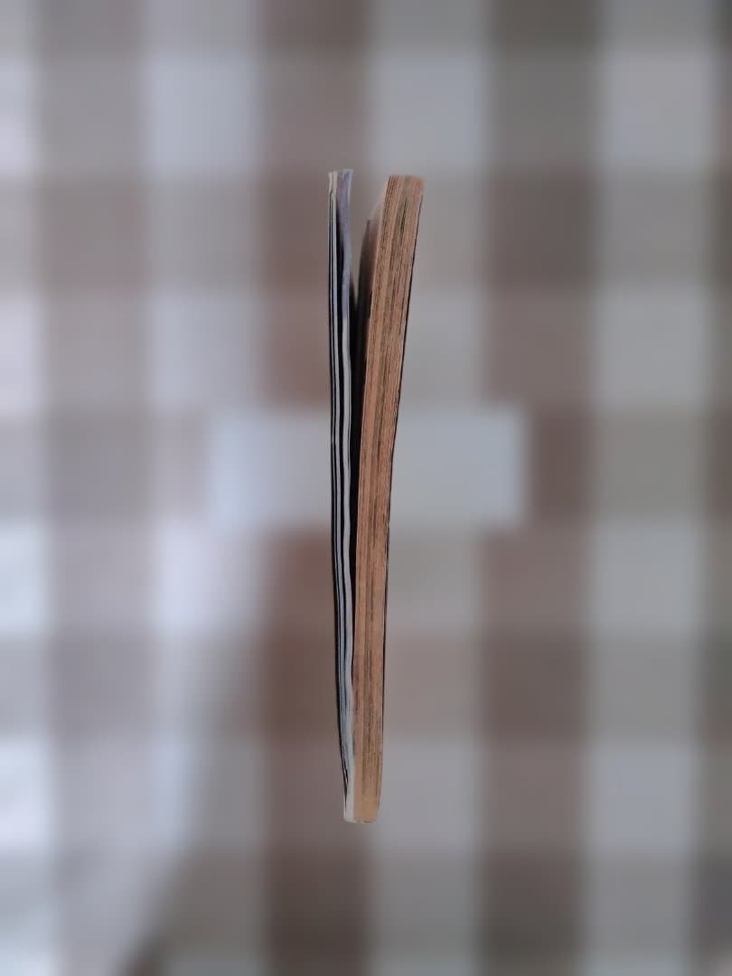 【レアもの】ドラゴンボール冒険スペシャル 週間少年ジャンプ特別編集