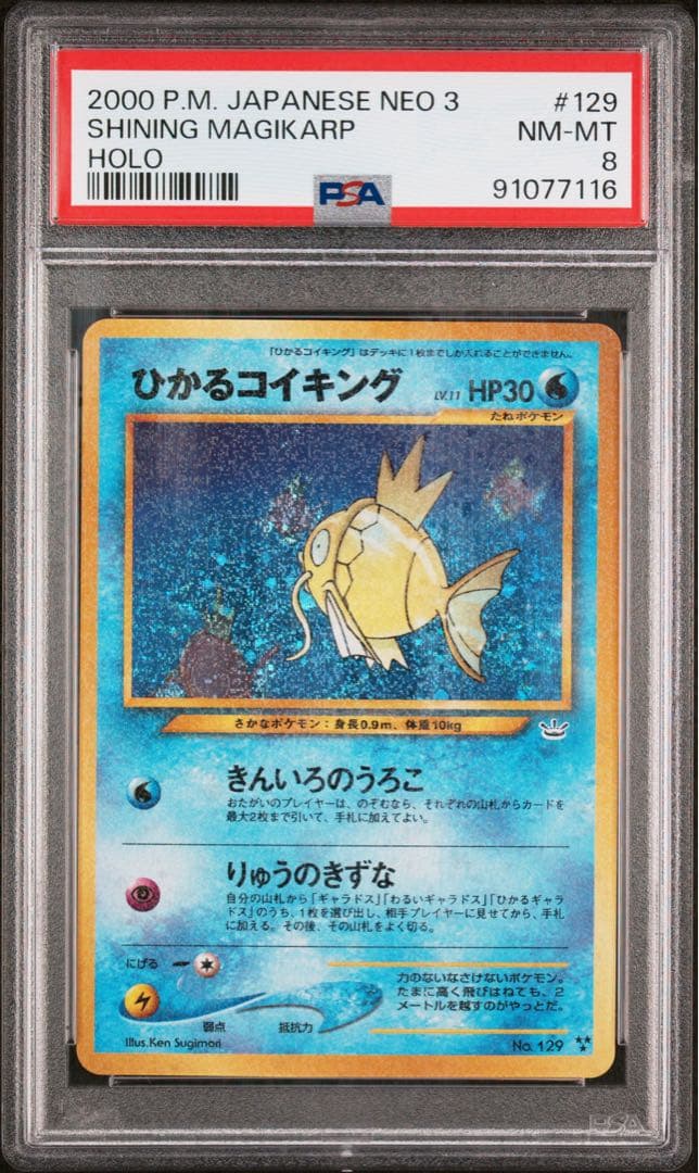 PSA8 旧裏 ひかるコイキング ひかるギャラドス