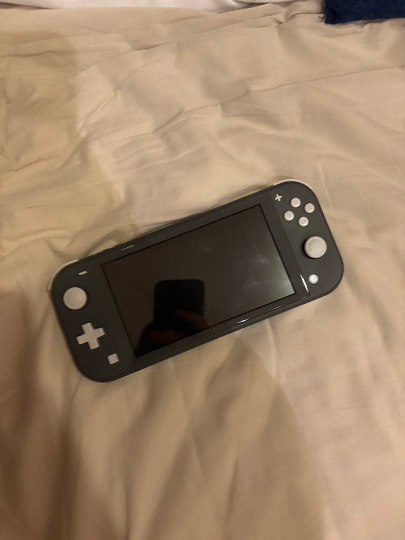 ニンテンドーSwitchライト