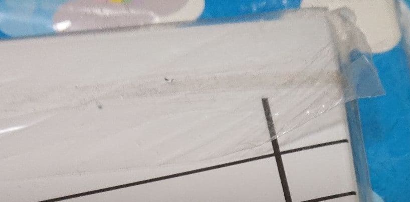 ミュージック NEWS / LIVE DVD