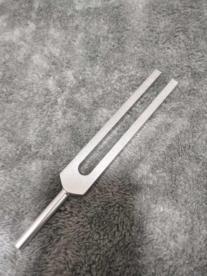 惑星音叉 地球 Earth