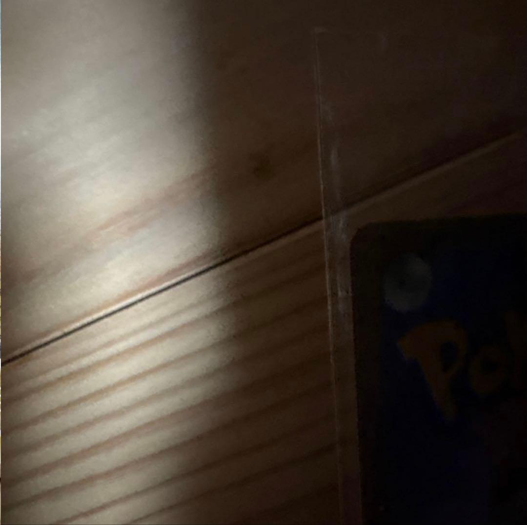 ポケモンカード 日本代表のピカチュウ未開封