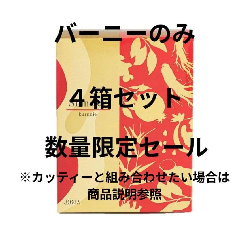 スリムレイ バーニー RHYTHM リズム slimeley 4箱