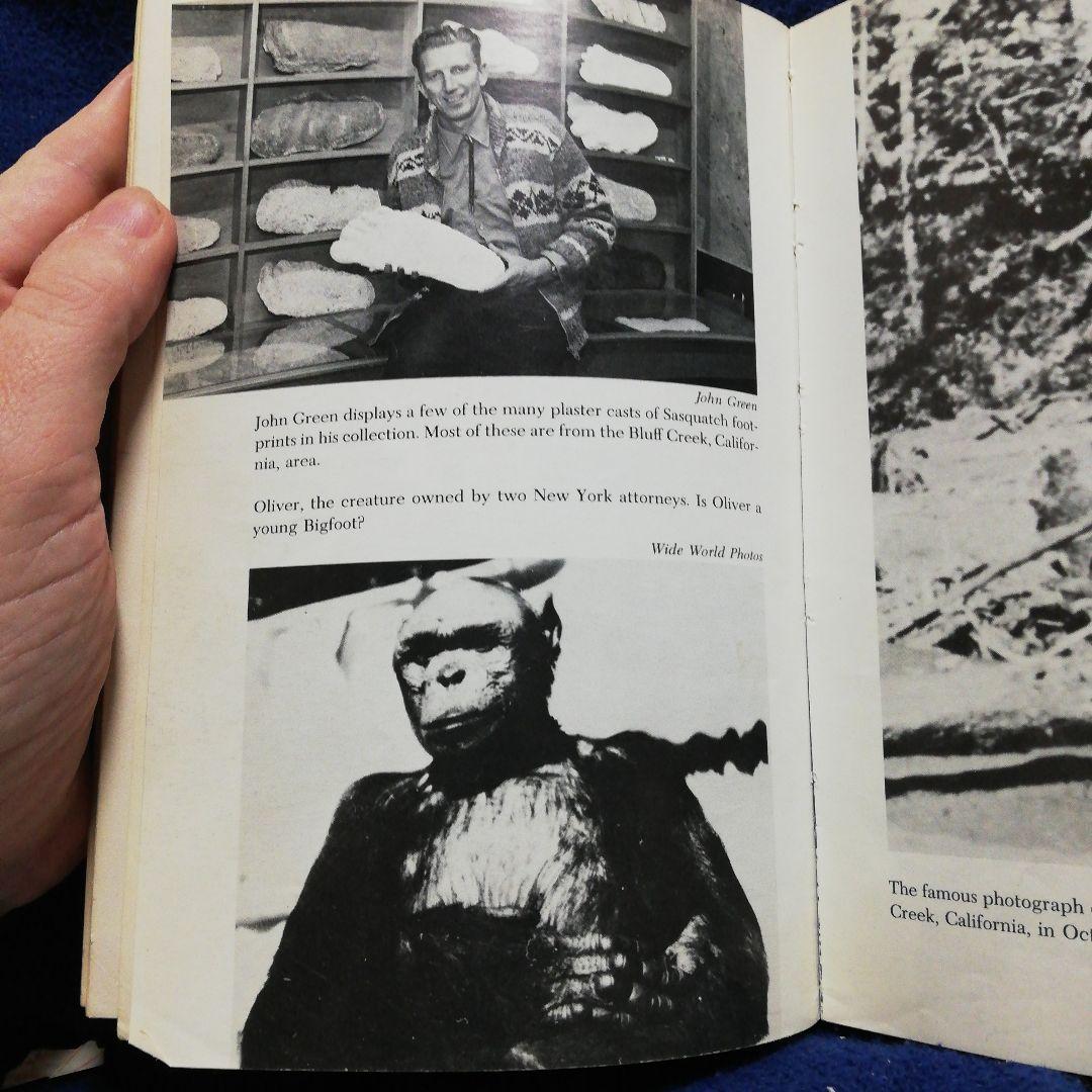 洋書 BIGFOOT ALL OVER THE COUNTRY by Place