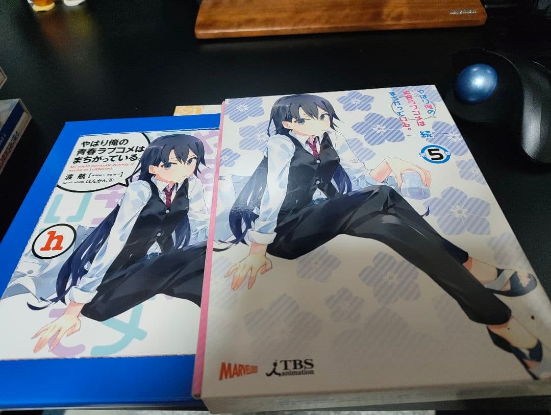 やはり俺の青春ラブコメはまちがっている。続 DVD 小説付き