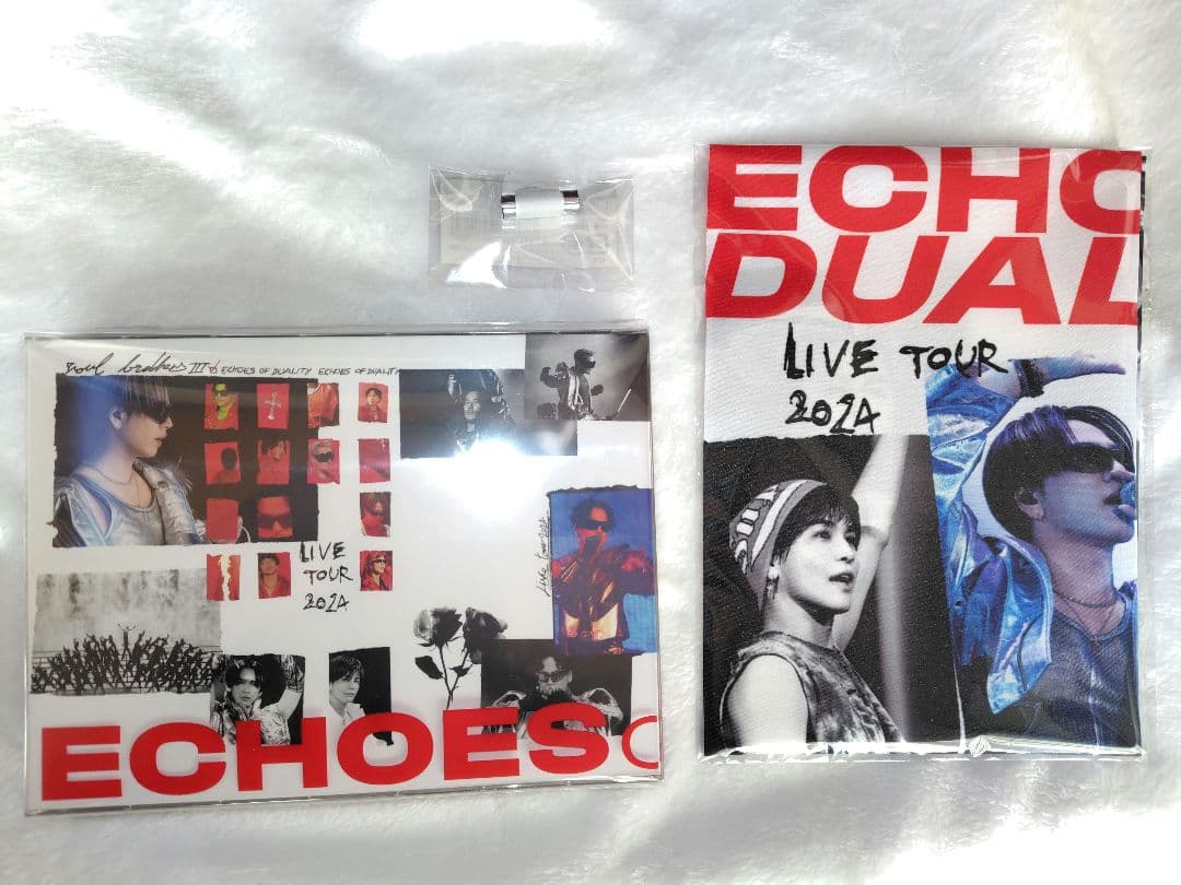 三代目JSB ”ECHOES OF DUALITY“ DVD CD