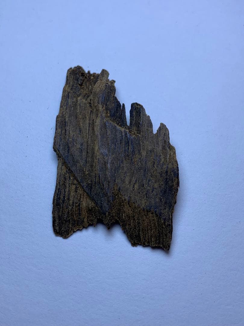 香木  沈水甘沈梗 5.092gベトナム産沈香 聞香用 お香  沈香 伽羅 香道