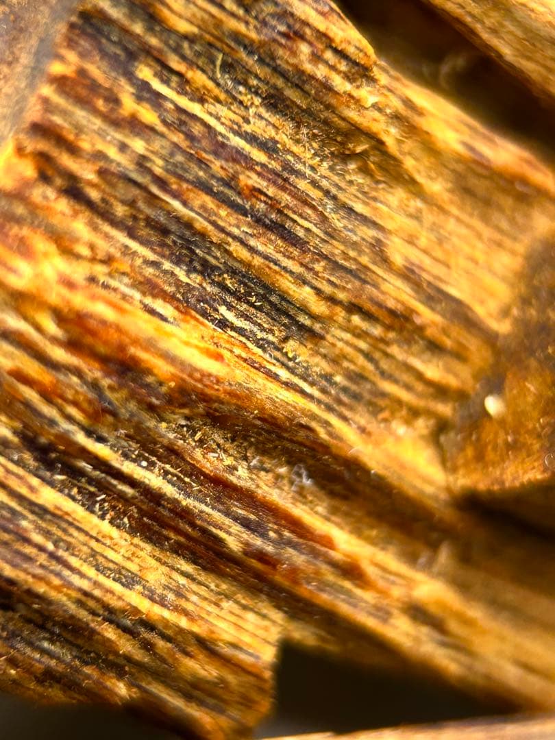 お香 天然沈香 六国五味聞香用 伽羅 香木 3-S-10.096